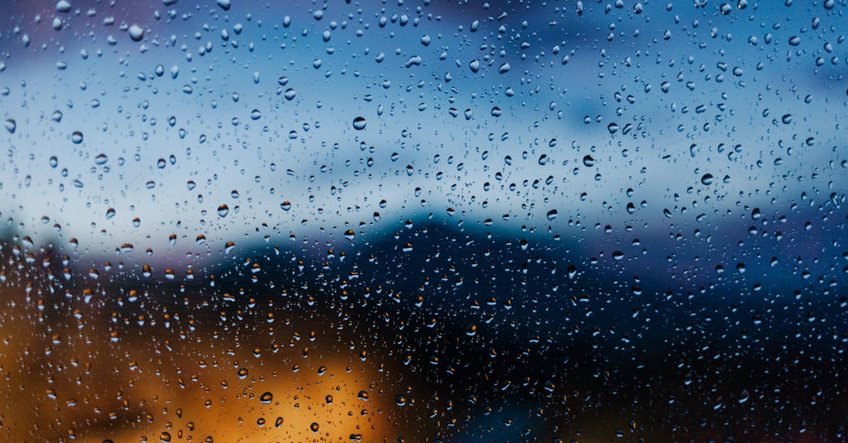 Alertă meteo: Cod galben de ploi în județul Neamț
