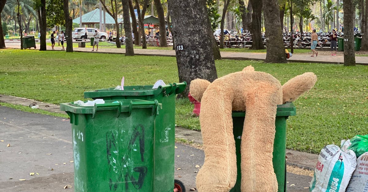 Parcările de pe drumurile județene, un spațiu pentru siguranță, nu pentru deșeuri