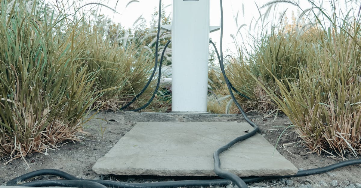 Provocările mobilității electrice în Iași: blocaje și lipsă de soluții