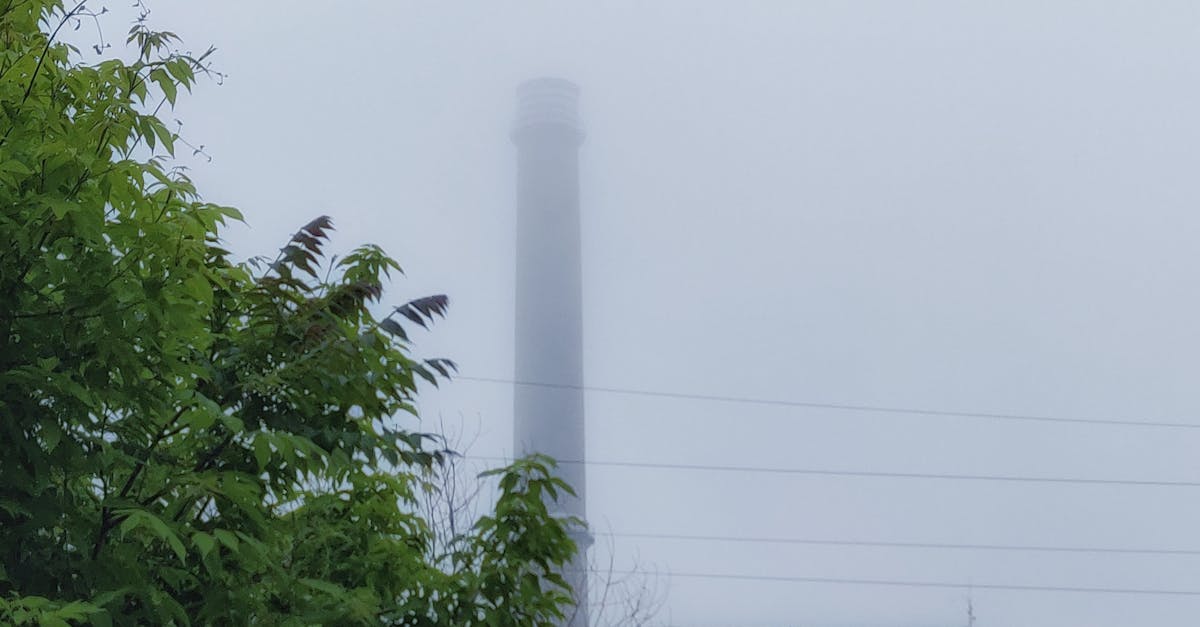 Previziuni meteo pentru următoarele două săptămâni: căldură și instabilitate atmosferică