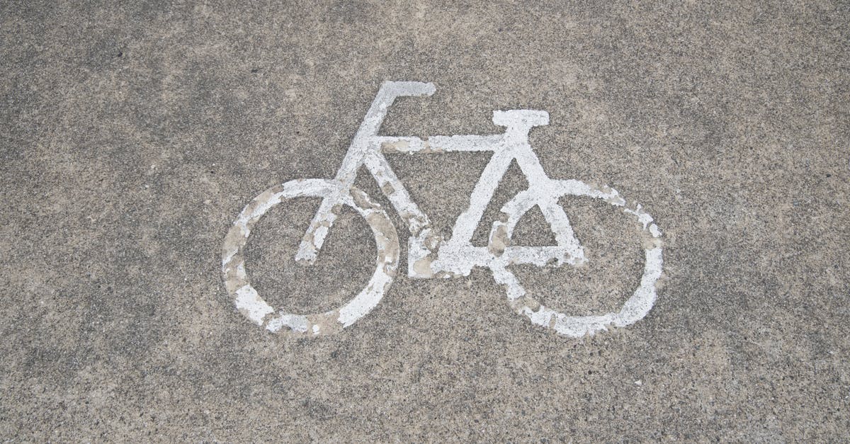 Bicicliștii din Timișoara cer infrastructură sigură și un master plan velo