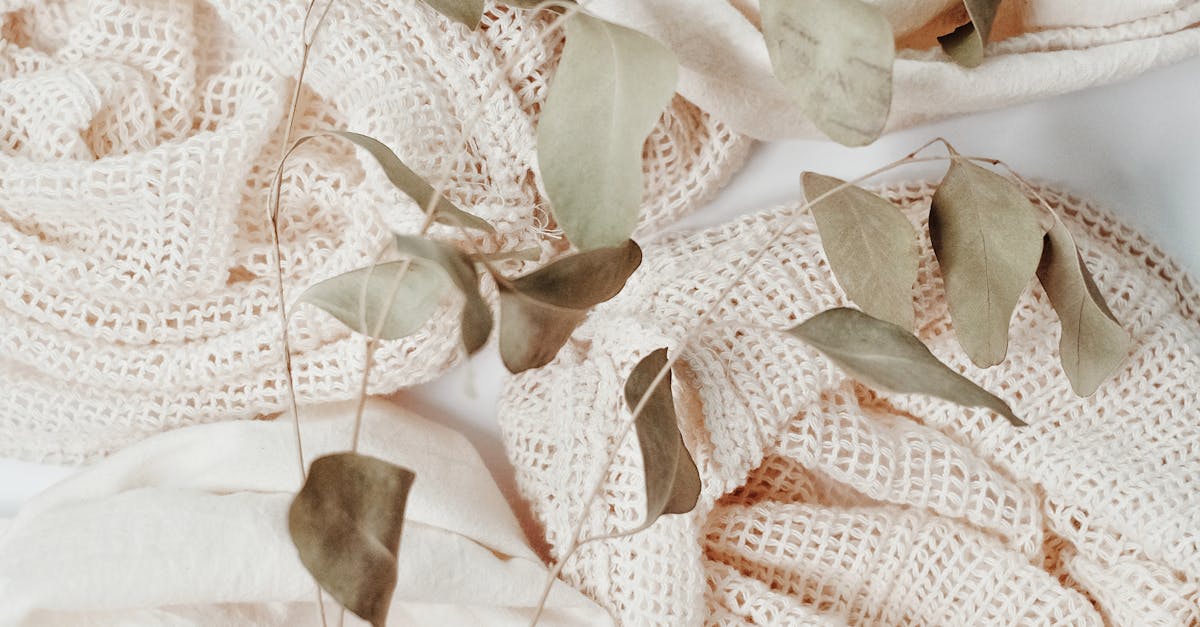 Hainele din porumb și alge: o alternativă ecologică la moda rapidă