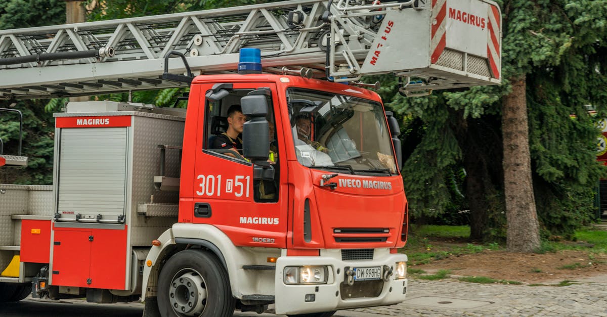 Trafic blocat pe DN 7C din cauza viiturilor și copacilor căzuți
