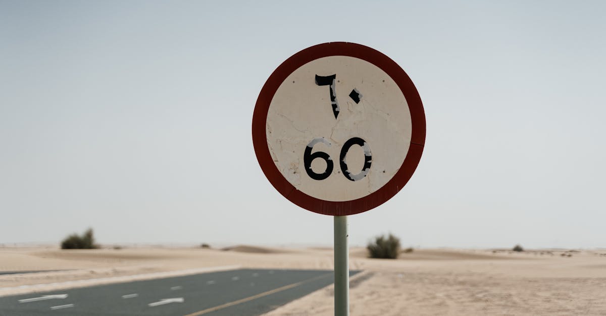 Caniculă extremă în Constanța: temperaturi record de 40°C în trafic
