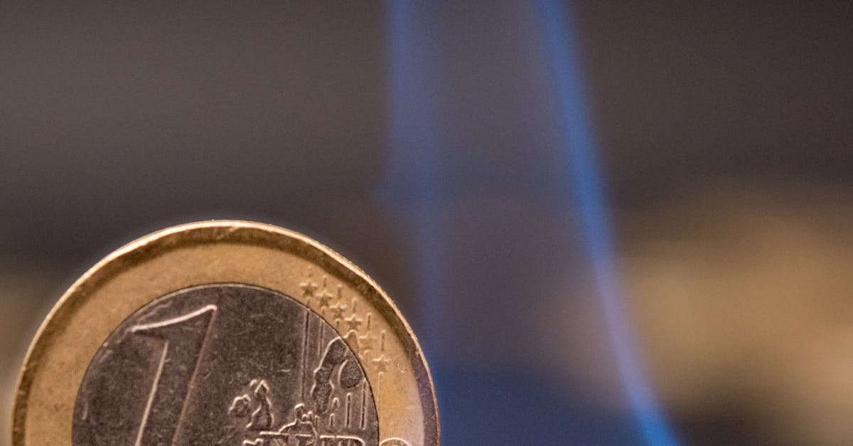 România pe marginea prăpastiei economice: riscuri de depreciere a leului și șomaj record