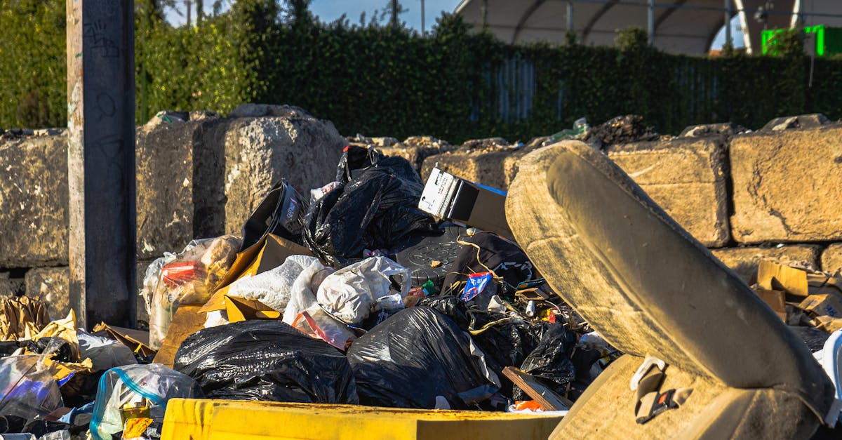 Amenzi drastice pentru timișorenii care abandonează deșeuri pe străzi