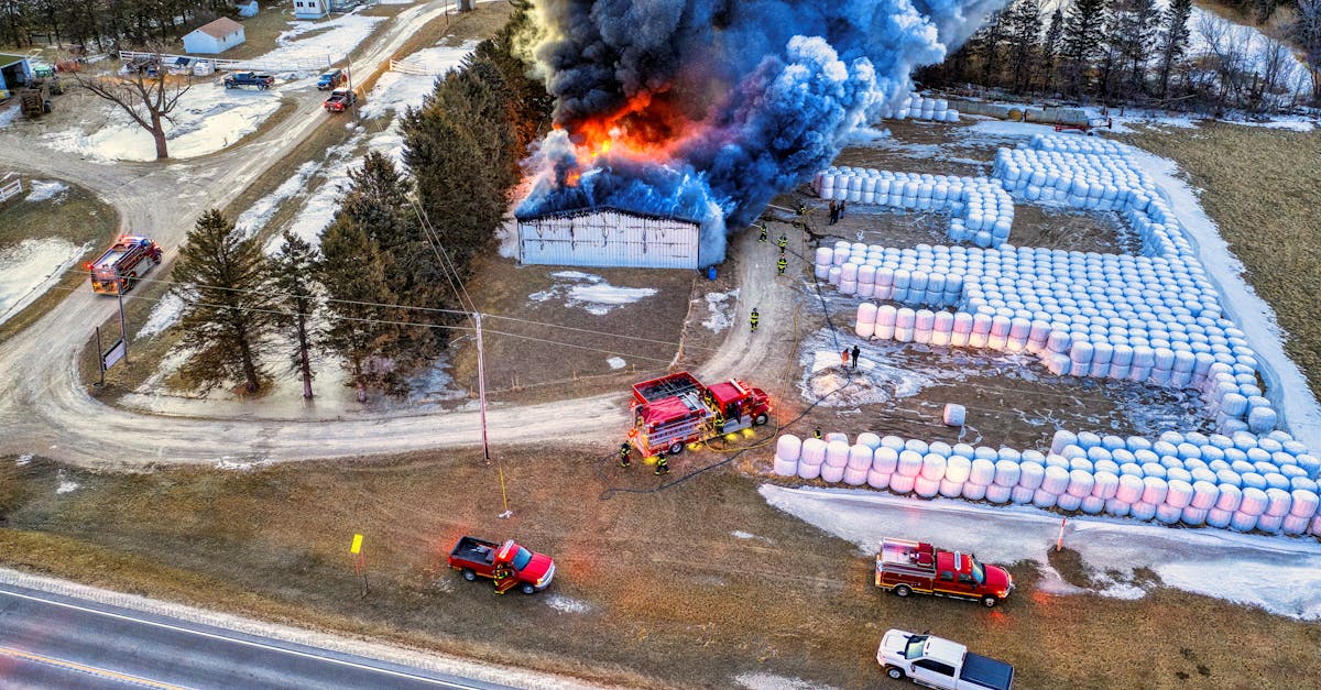 Incendiu devastator la o fermă din Nuntași, intervenție rapidă a pompierilor