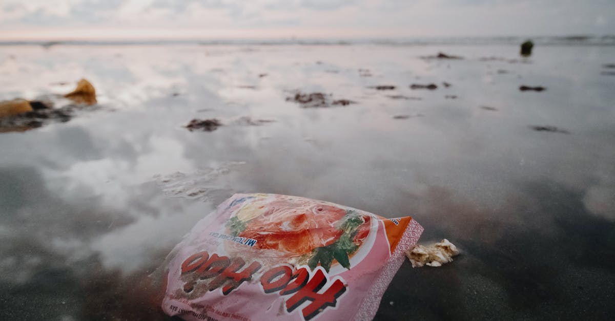 Românii contribuie semnificativ la reciclare, cu 1,26 miliarde de ambalaje returnate în 6 luni
