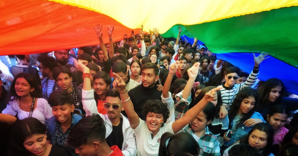 Descoperă Timișoara: o seară dedicată comunității și diversității culturale