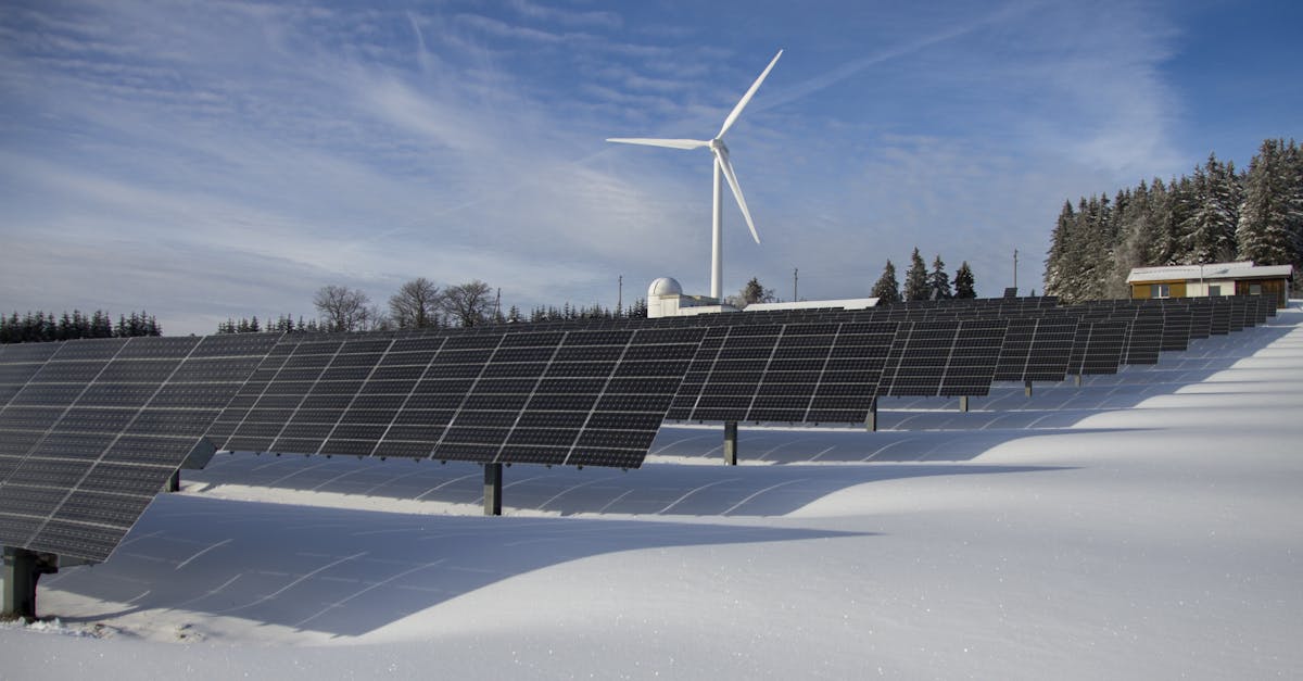 Școala din Sibiu devine un exemplu de eficiență energetică după modernizare