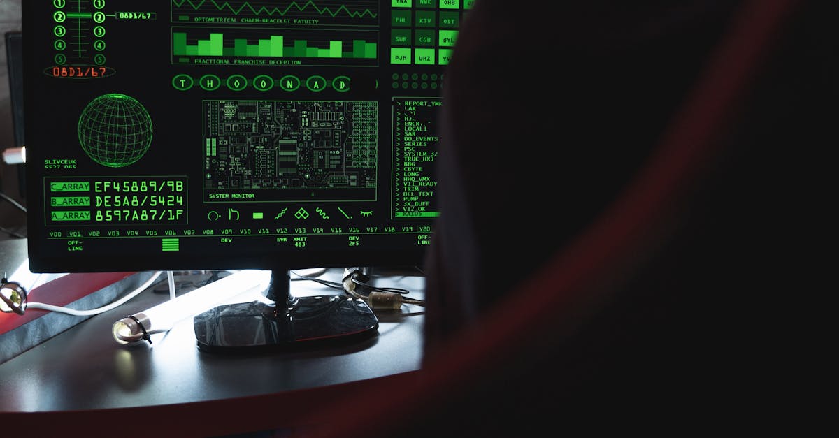 Operațiune internațională împotriva hackerilor pro-ruși: mii de voluntari implicați în atacuri cibernetice