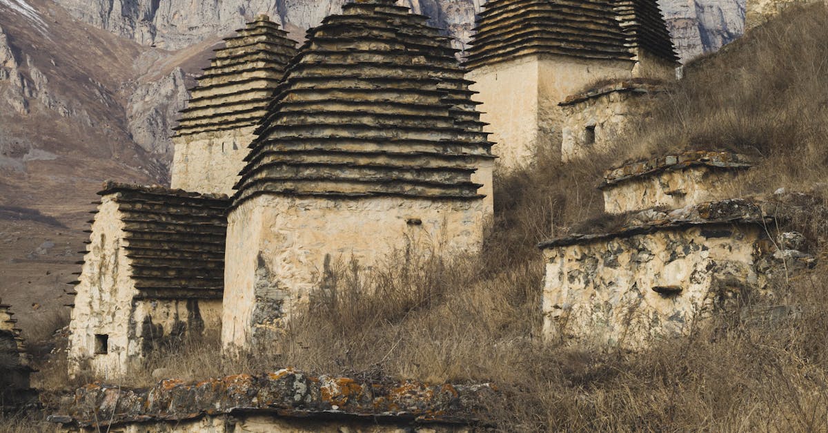 Descoperiri arheologice valoroase și distrugeri în situl Timișoara 45 – Fântâna Pașei