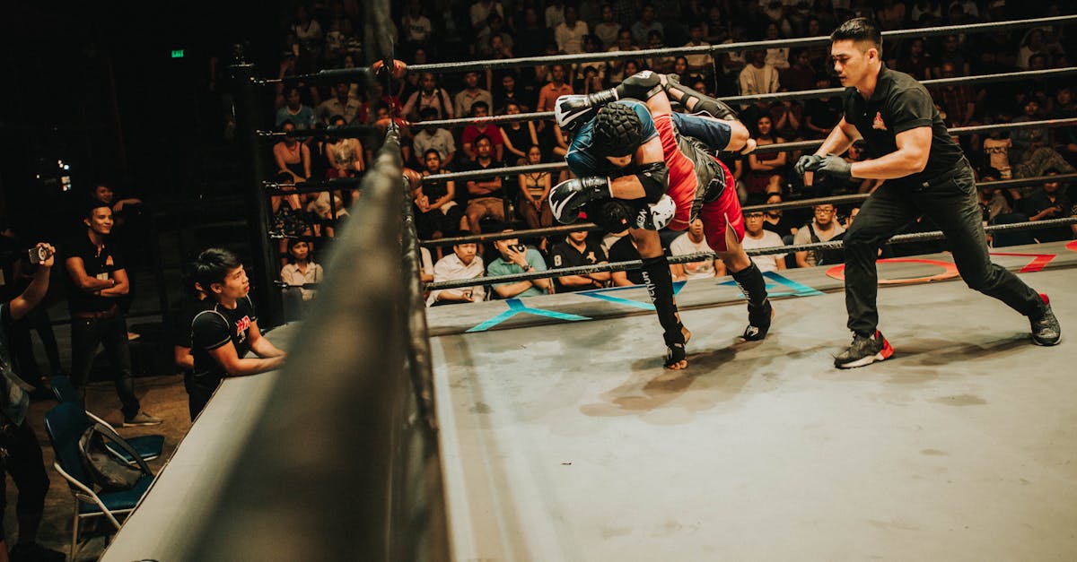 Bistrița se pregătește pentru primul meci de titlu mondial în kick-boxing