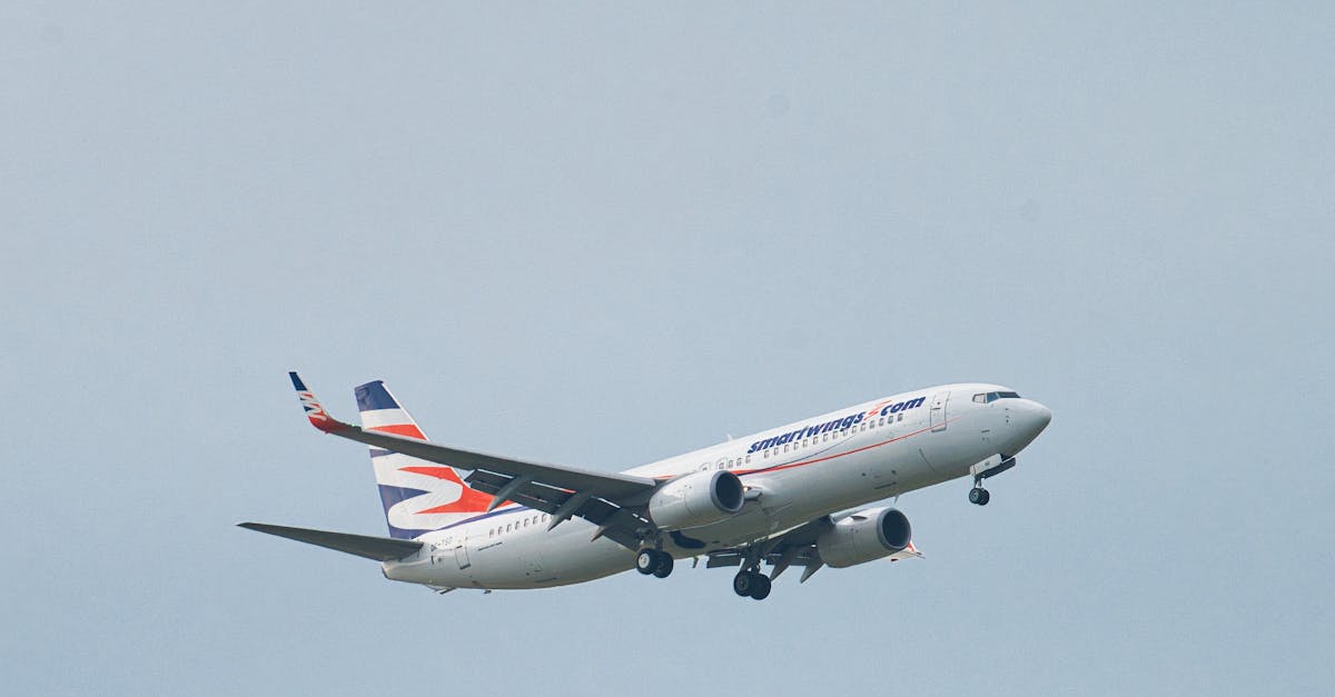 O nouă companie aeriană își face apariția pe cerul României