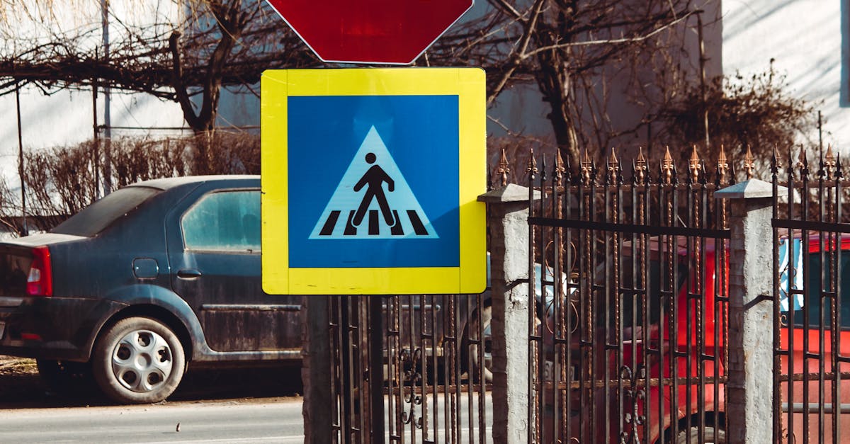 Pericol pe strada Salviei din Cluj-Napoca: vizibilitate redusă din cauza crengilor
