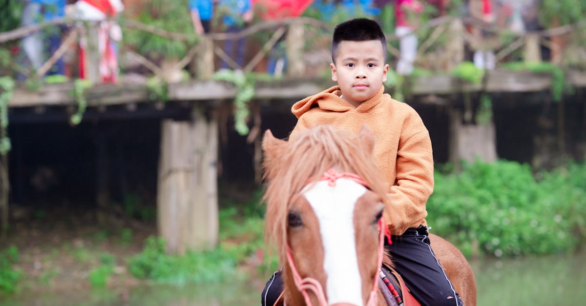 Eveniment ecvestru captivant cu spectacole și activități la Equestrian Dreams