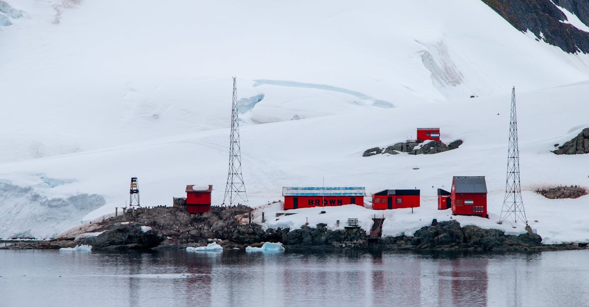 Descoperiri fascinante în gheața antică de 1,5 milioane de ani din Antarctica
