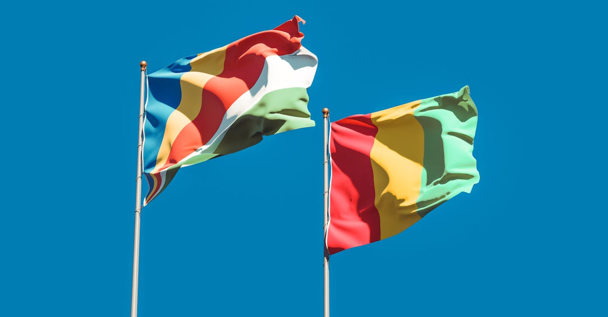 Noile directive ale Casei Albe: Ce trebuie să știe diplomații americani despre alegerile externe