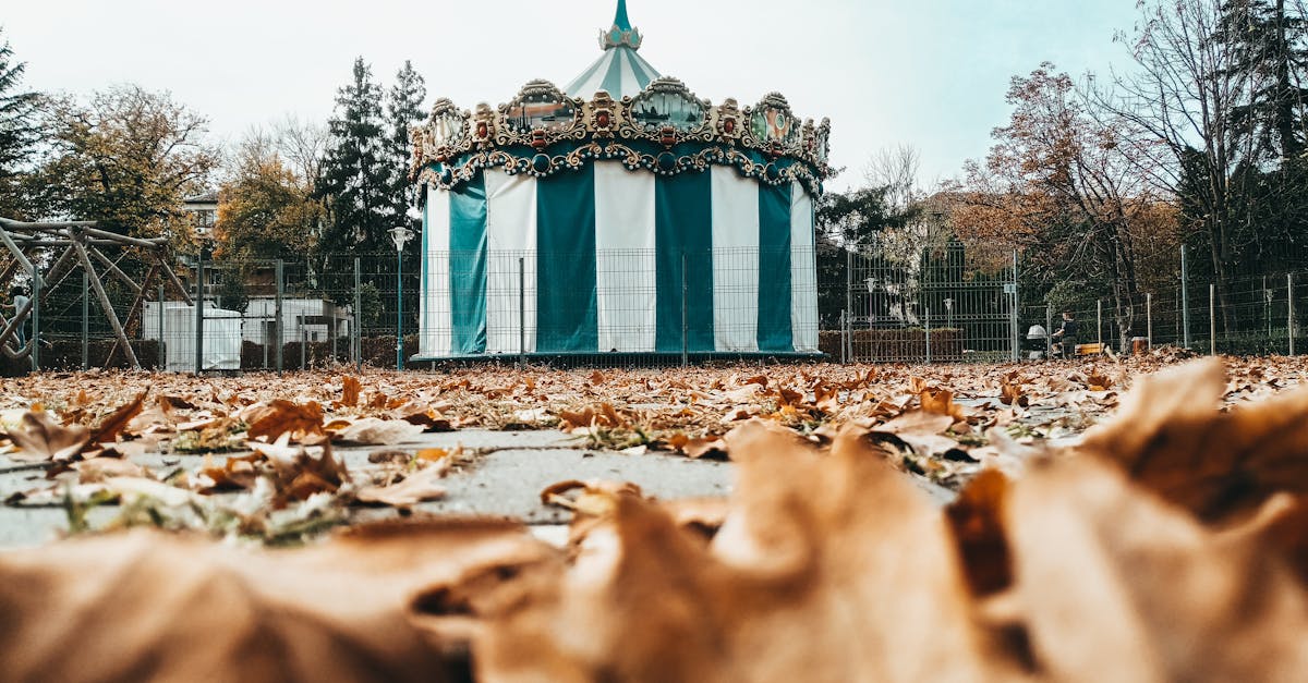 Licitația locurilor de parcare din Bartolomeu: prețuri record și noi oportunități