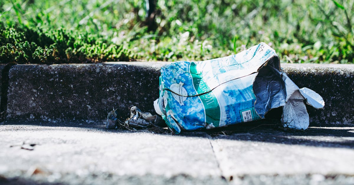 Primăria Sângeorz-Băi intensifică măsurile împotriva deșeurilor necontrolate