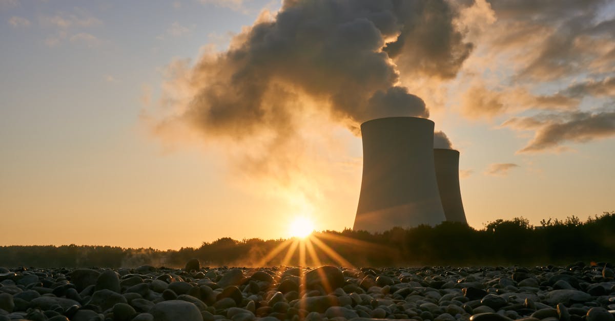 Parteneriat strategic între România și Coreea de Sud în domeniul energiei nucleare