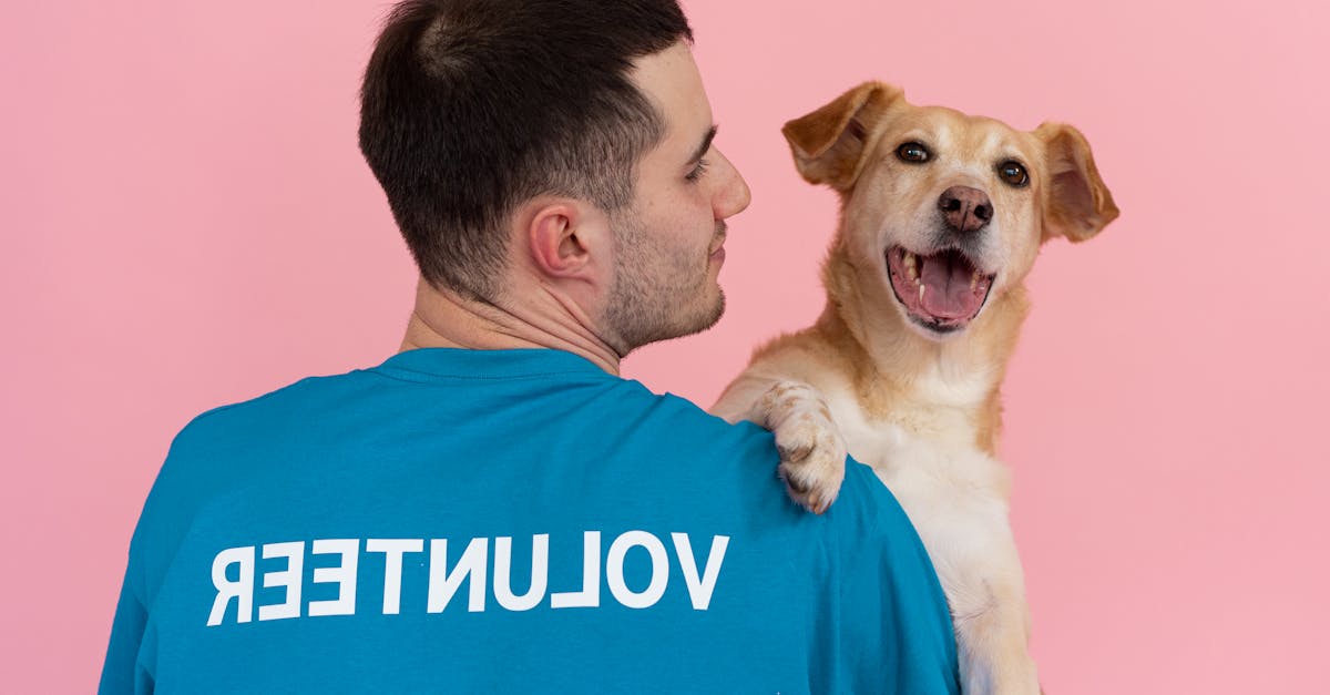 Bărbat reținut pentru împușcarea câinelui vecinului său