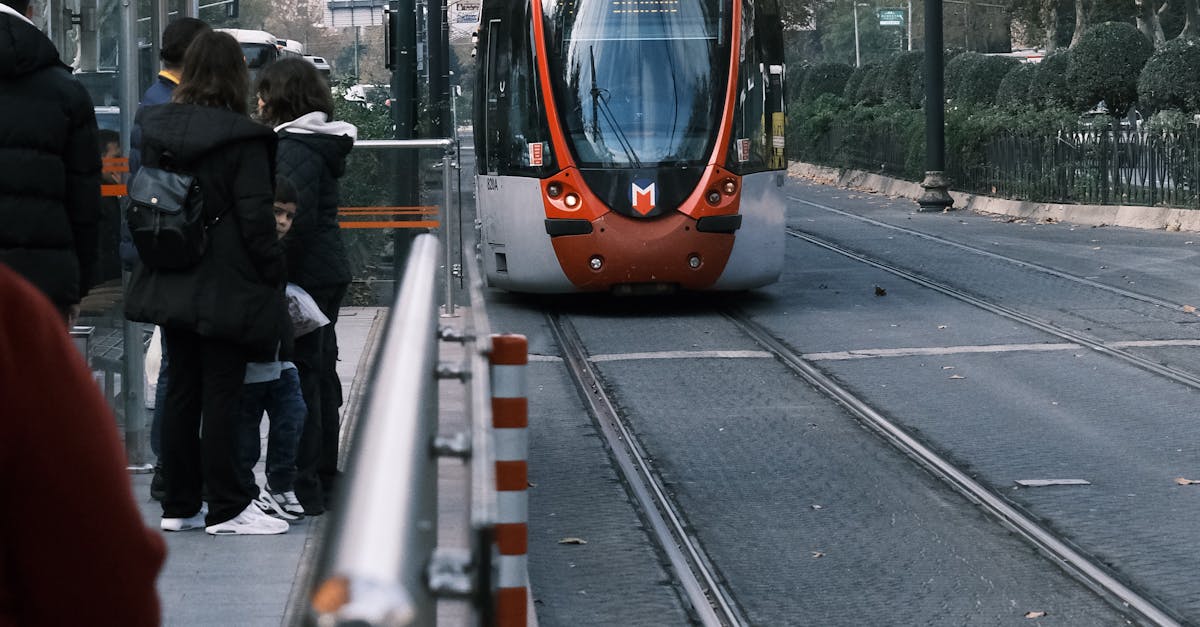 Traficul feroviar suspendat între Răstolița și Toplița din cauza unui copac căzut