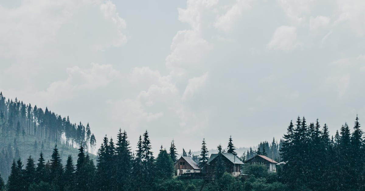Descoperă Iezerul Ighiel: bijuteria naturală din apropierea Alba Iuliei