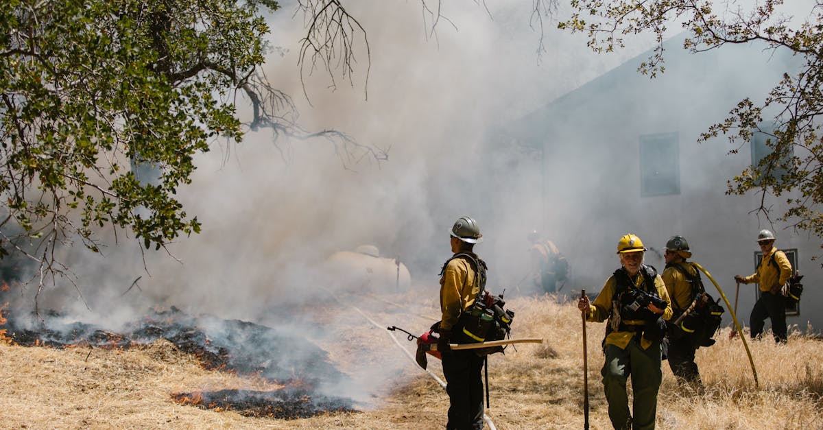 Incendiu devastator în sudul Franței: aproape 1.000 de pompieri mobilizați pentru a controla flăcările