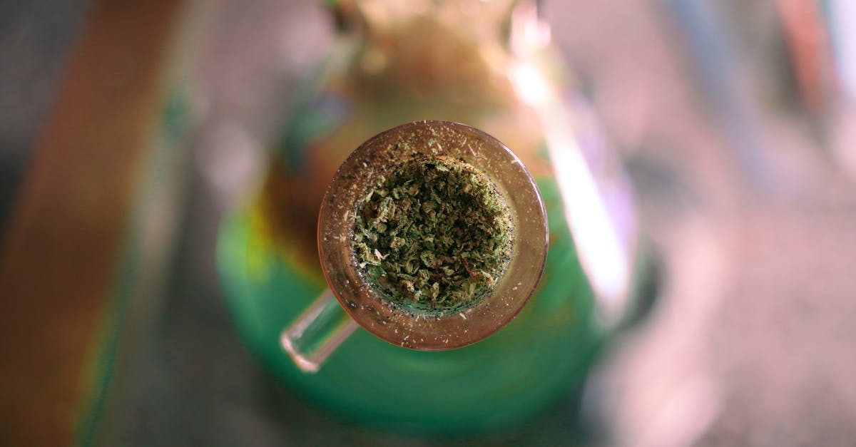 Germania avansează în legalizarea canabisului: aproape 300 de cluburi aprobate