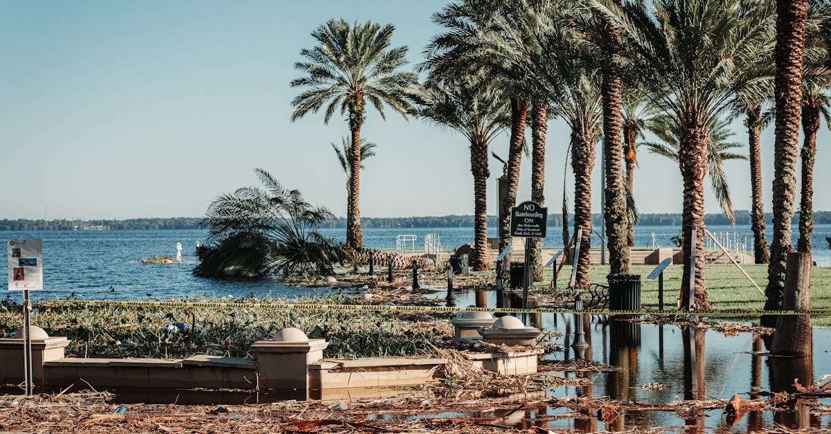 Plajele din Barcelona, amenințate de schimbările climatice: un apel al localnicilor