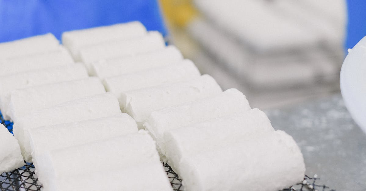 Finanțare europeană pentru brutării și fabrici de lactate: detalii esențiale