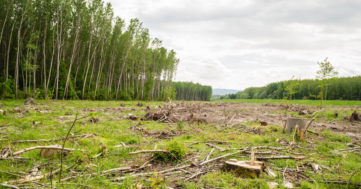 Controverse în jurul bugetului UE: impactul asupra biodiversității