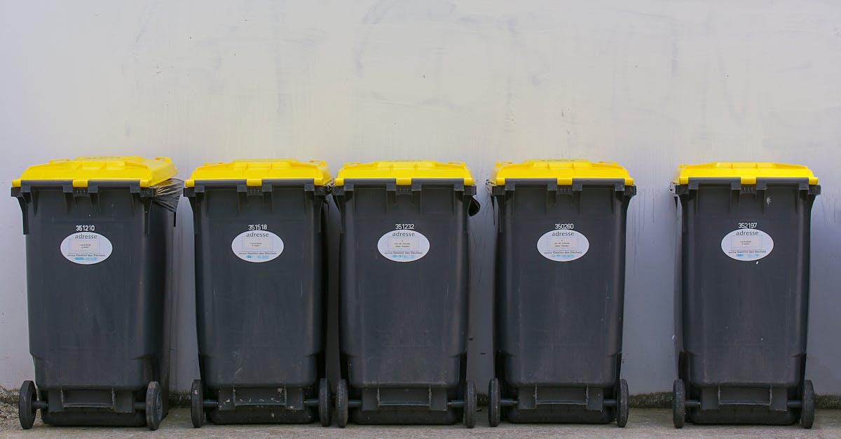 Colectarea deșeurilor reciclabile în Bistrița: detalii importante pentru iulie