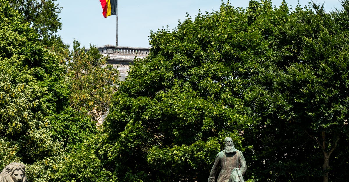 Belgium celebrates its National Day: A look at the history and diplomatic ties with Romania