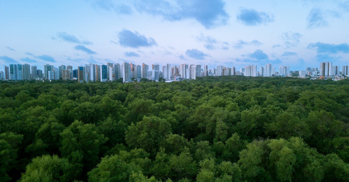 Oportunități de finanțare pentru proiecte de infrastructură verde și albastră în mediul urban