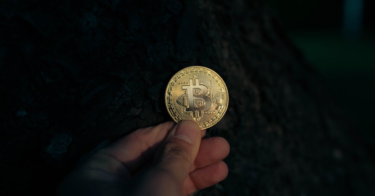 Cum poți obține lichidități rapid cu criptomonedele tale