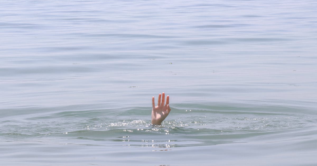 Tragedie la lacul Tarnița: un tânăr înecat și un apel urgent la precauție din partea autorităților