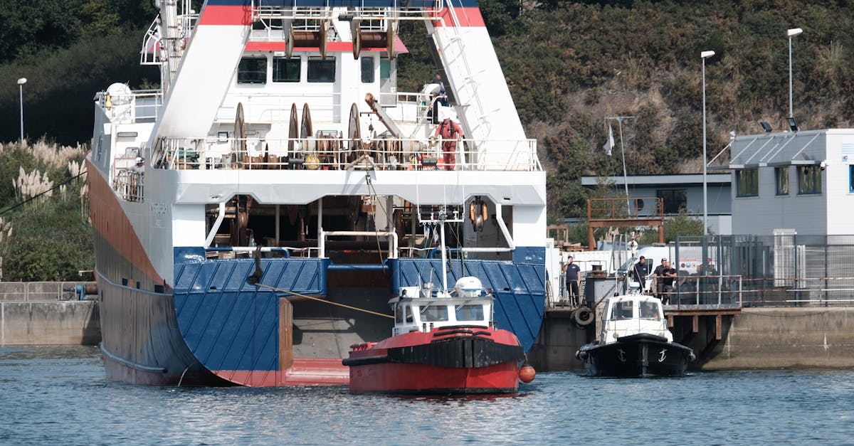 Forțele Navale Române achiziționează remorchere maritime pentru modernizarea flotei