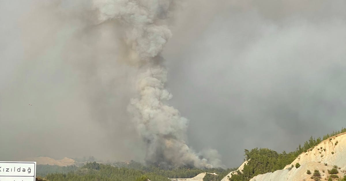 Atenționare pentru românii din Muntenegru: risc de incendii de vegetație