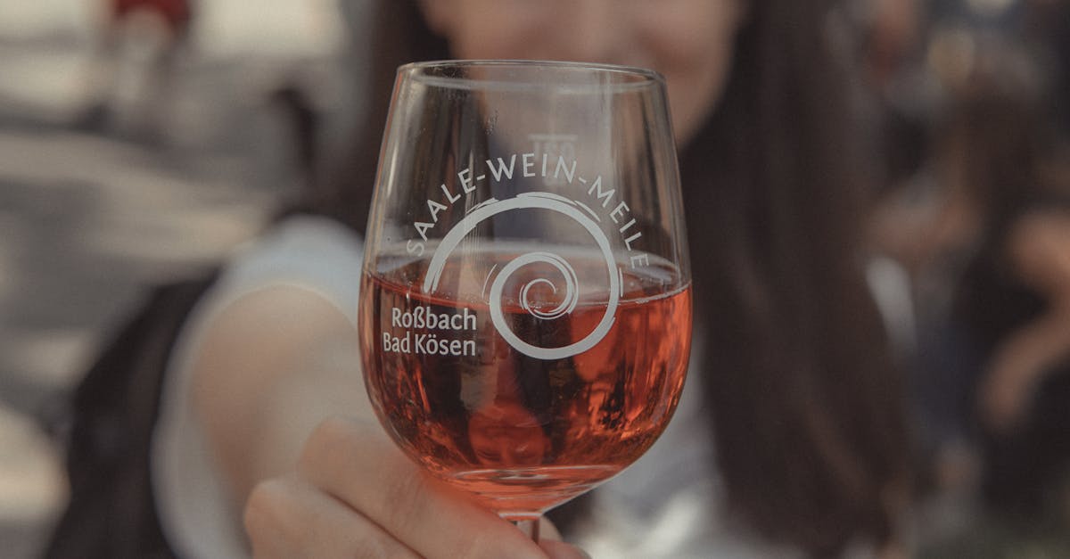VINFEST 2025: Descoperă vinuri rafinate și muzică electrizantă în inima Muzeului ASTRA