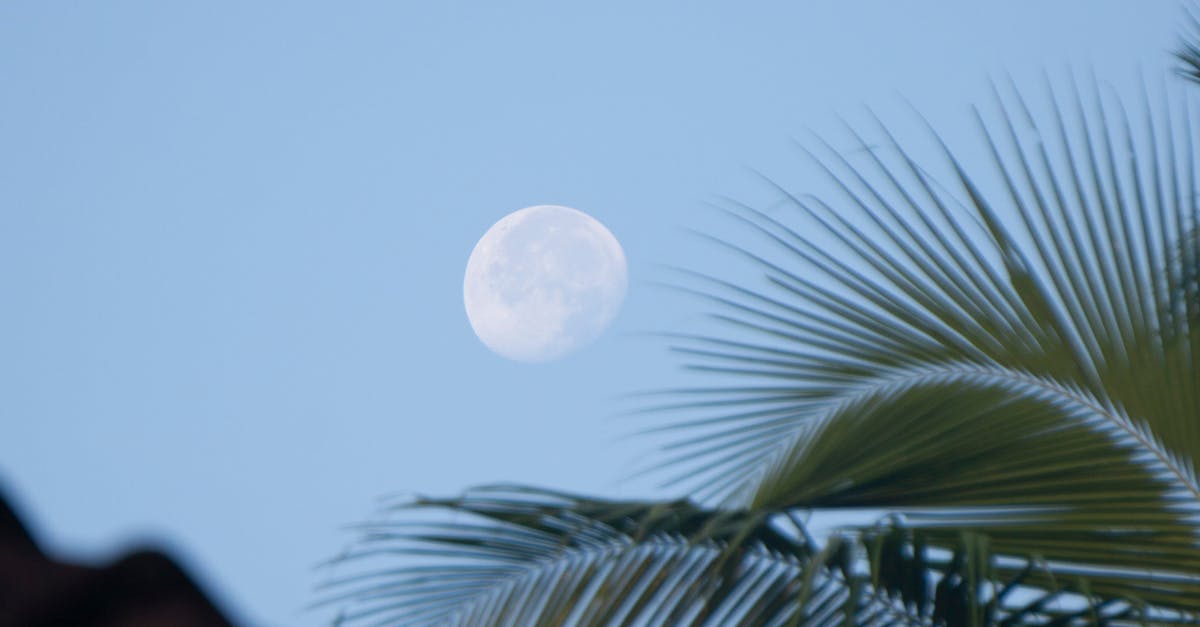 Caniculă în Iași: temperaturi record și nopți tropicale