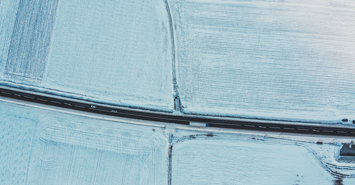 Dezvoltări importante pentru Autostrada Transilvania în Bihor: lucrările reîncep