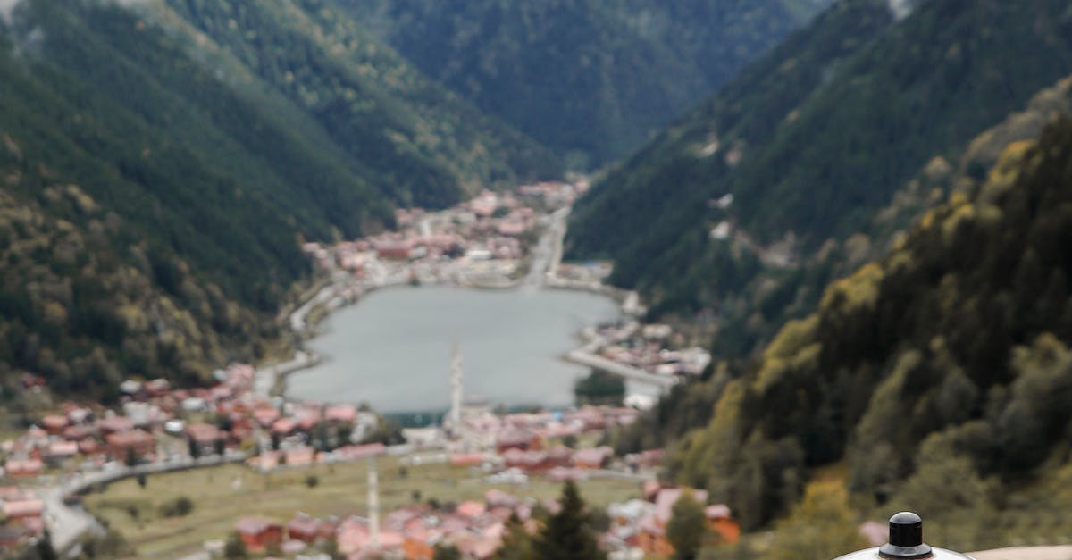 Controale riguroase la comercianții din Bâlea Lac și Valea Avrigului: amenzi considerabile