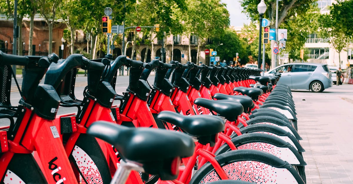 Pista de biciclete din Prundu Bârgăului, finalizată: un nou spațiu pentru comunitate