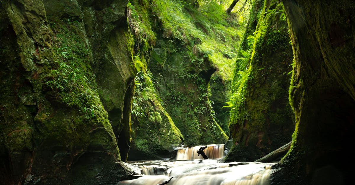 Avertisment privind prăbușirea tavanului Salinei Praid: riscuri ecologice iminente