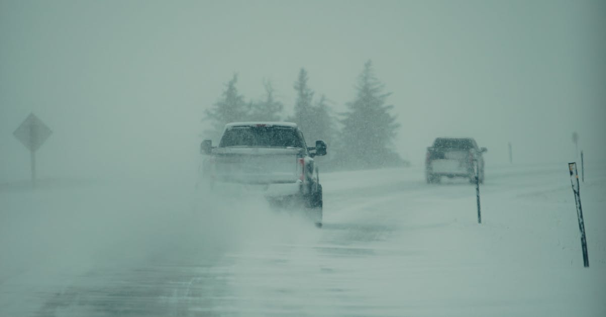 Atenție, șoferi: ceață densă pe A2 București – Constanța
