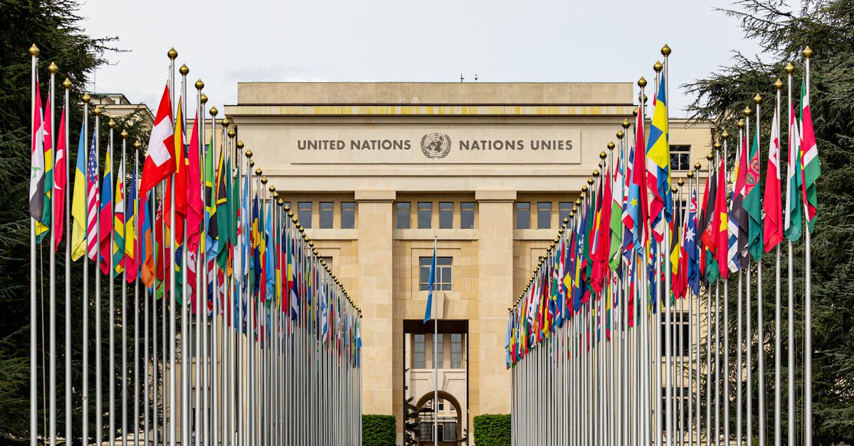 Franța anunță recunoașterea Palestinei la ONU: un pas major în politica internațională