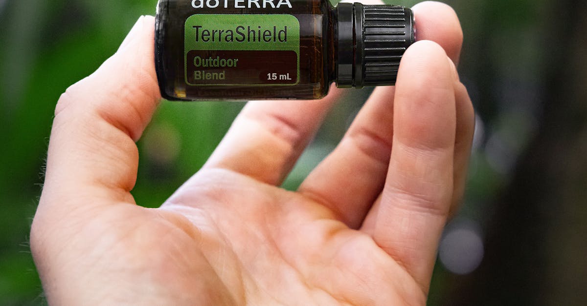 Plantele care te ajută să scapi de țânțari și insecte în mod natural