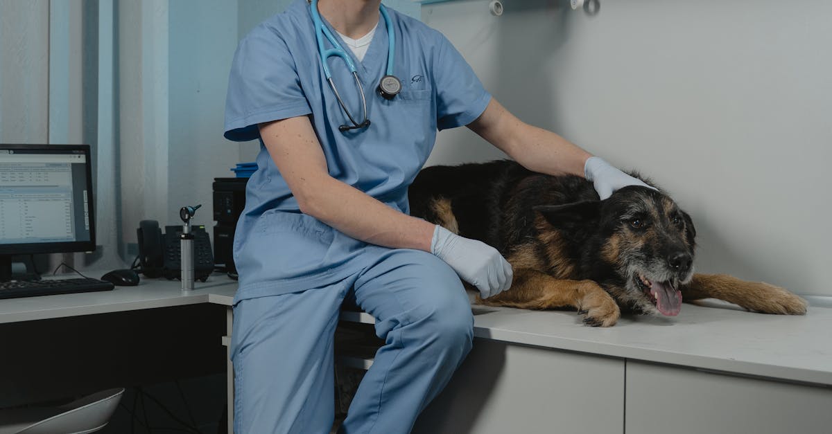 Tânărul mușcat de câini în Munții Făgăraș continuă tratamentul medical